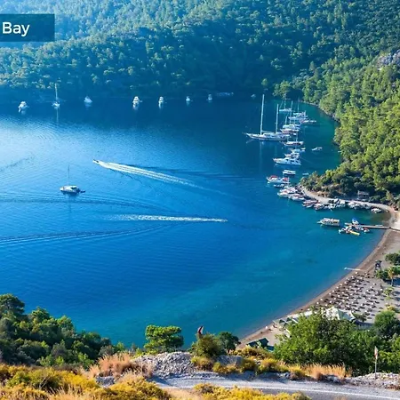 Fidan * Oludeniz